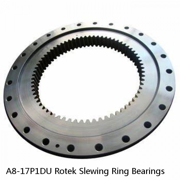 A8-17P1DU Rotek Slewing Ring Bearings
