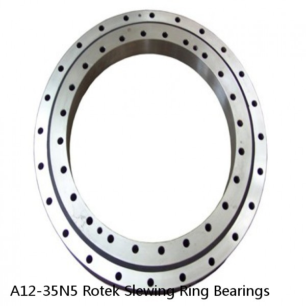 A12-35N5 Rotek Slewing Ring Bearings