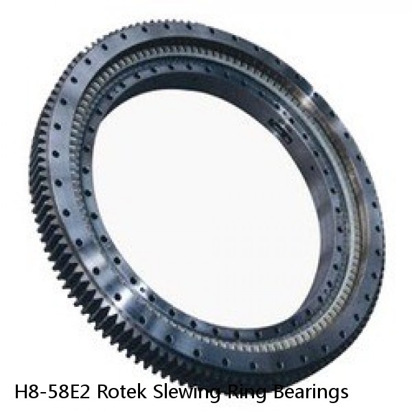 H8-58E2 Rotek Slewing Ring Bearings