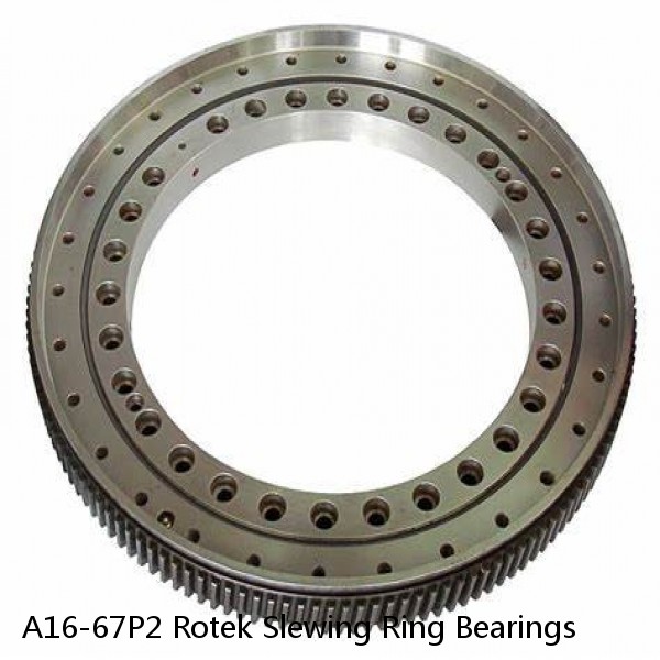 A16-67P2 Rotek Slewing Ring Bearings