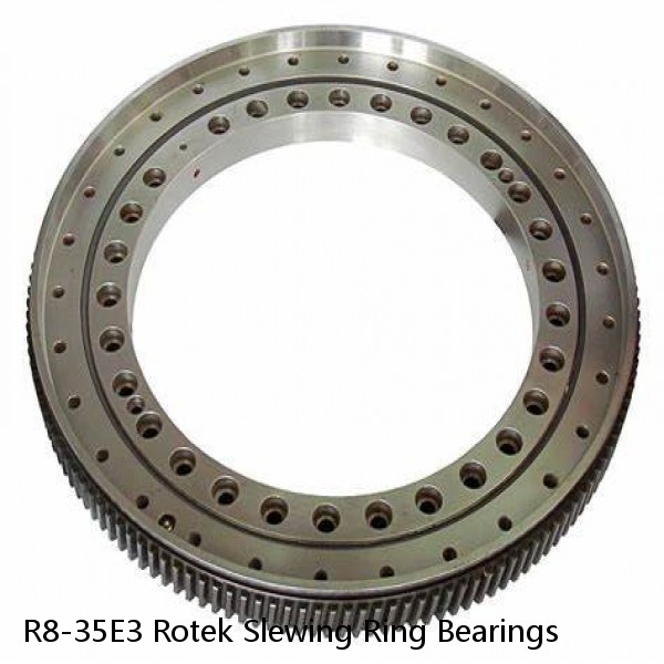 R8-35E3 Rotek Slewing Ring Bearings