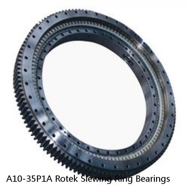 A10-35P1A Rotek Slewing Ring Bearings