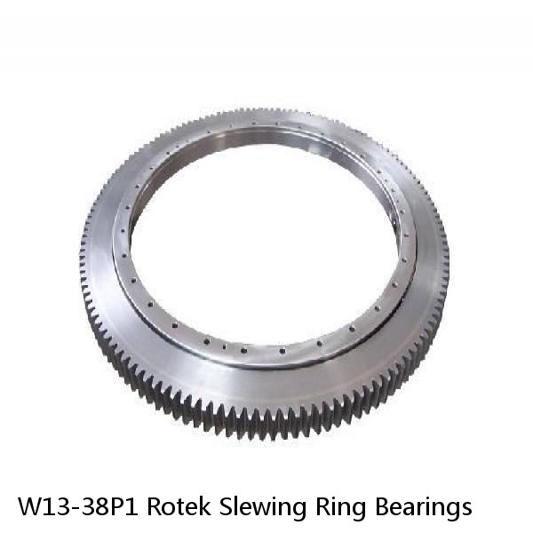 W13-38P1 Rotek Slewing Ring Bearings