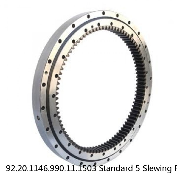 92.20.1146.990.11.1503 Standard 5 Slewing Ring Bearings