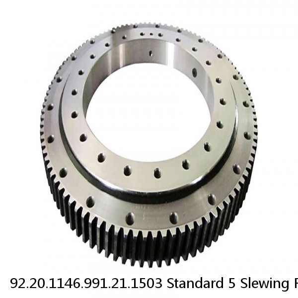 92.20.1146.991.21.1503 Standard 5 Slewing Ring Bearings