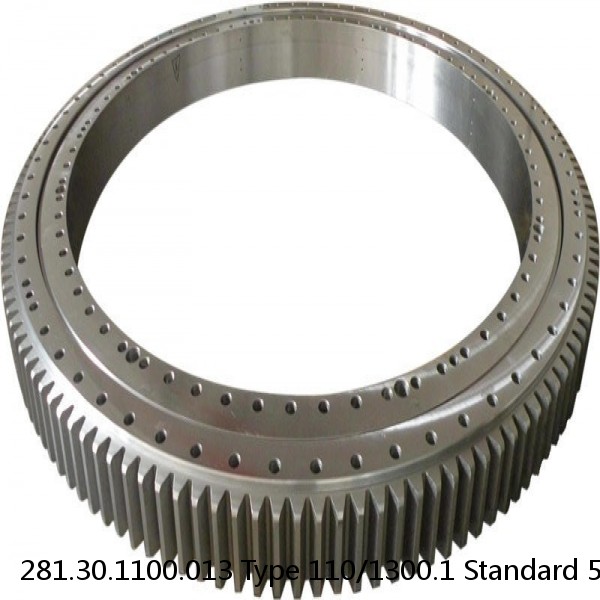 281.30.1100.013 Type 110/1300.1 Standard 5 Slewing Ring Bearings