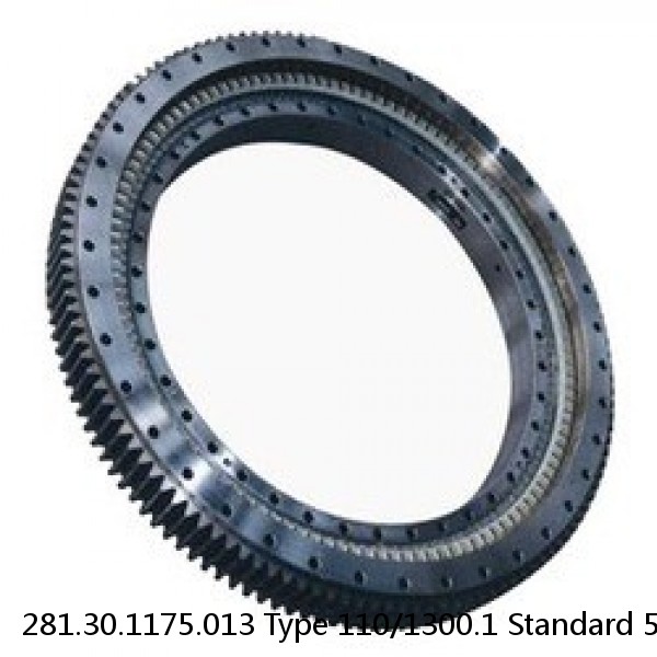 281.30.1175.013 Type 110/1300.1 Standard 5 Slewing Ring Bearings